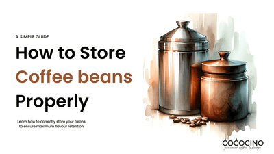 The Ultimate Guide to Storing Coffee Beans Properly