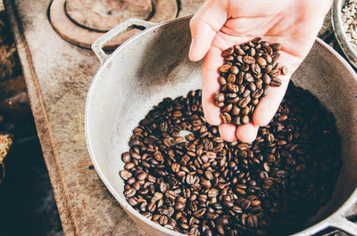 Organic Coffee Beans | The History & Origins