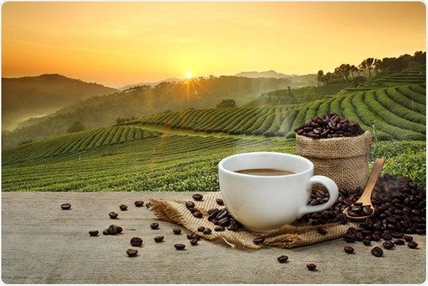 What is Organic coffee ? - Cococino Coffee